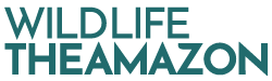 Wild Life The Amazon