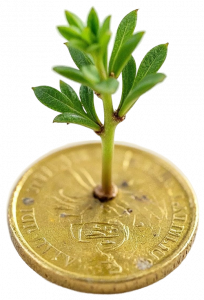 donativo-wildlifetheamazon donativo-amazonas-wildlifetheamazon